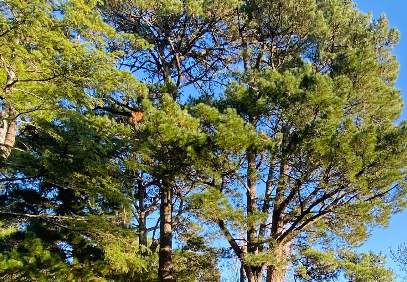 Maison à La Baule-Escoublac - Villa la Rabolière 