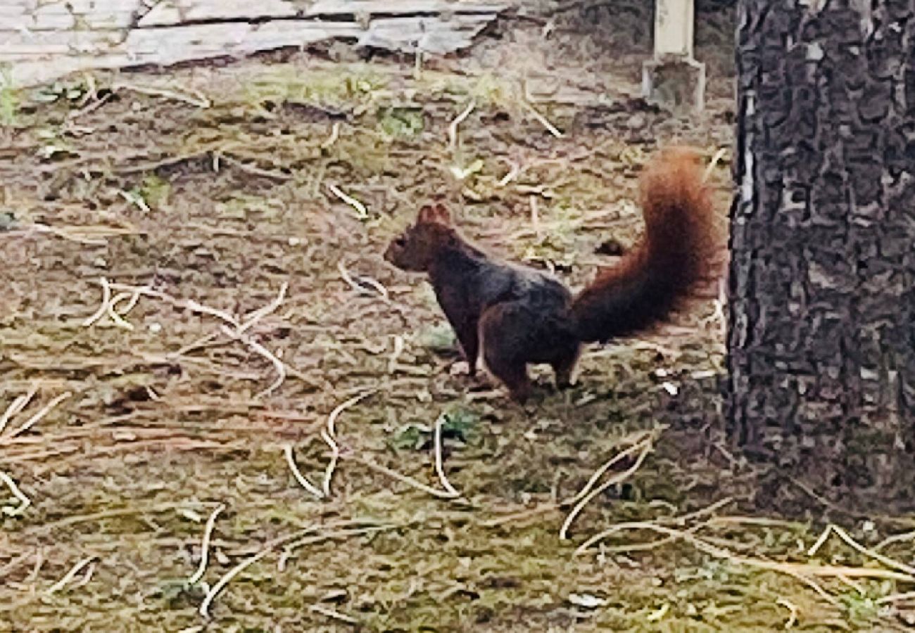 Maison à La Baule-Escoublac - Villa la Rabolière 