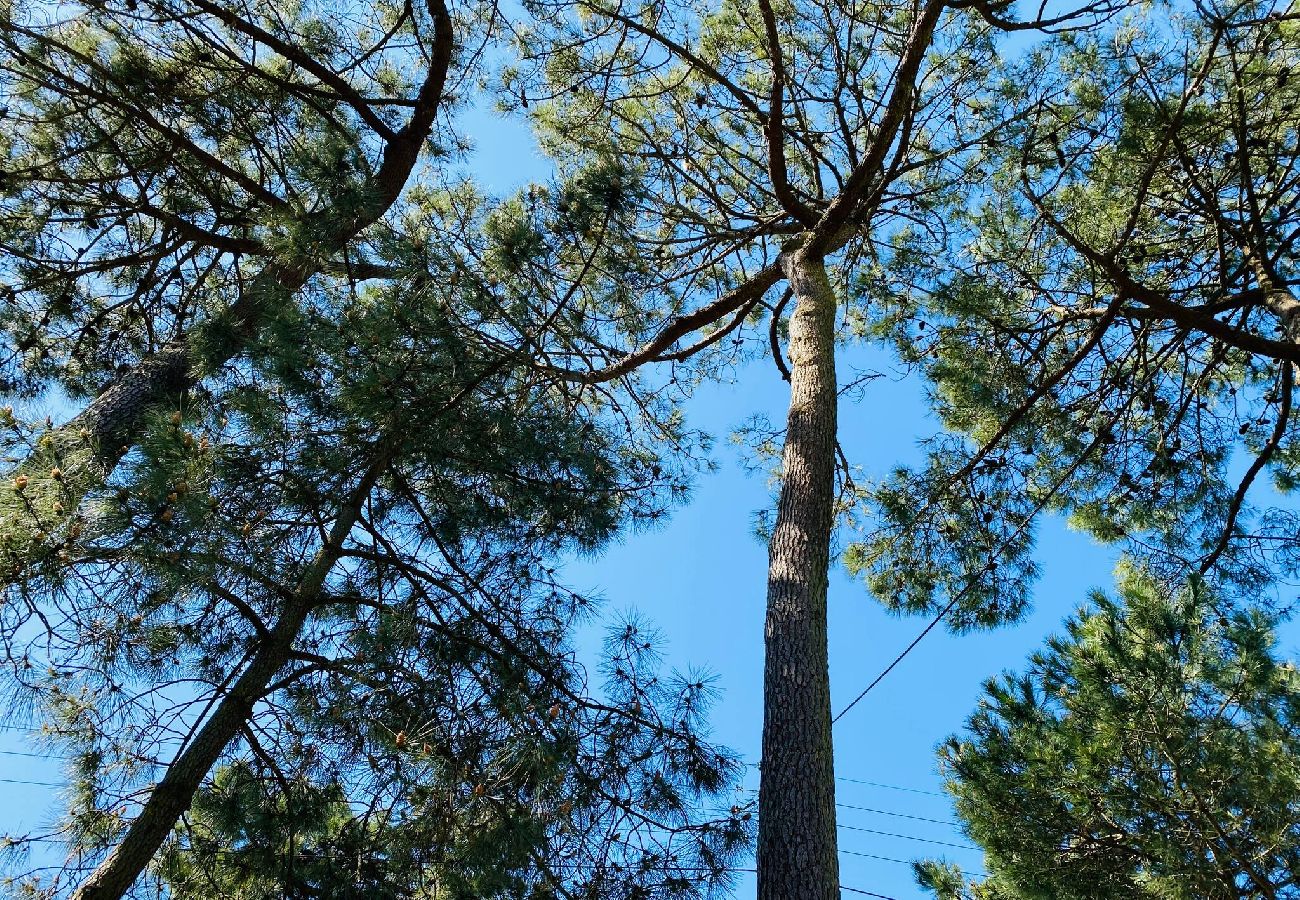 Maison à La Baule-Escoublac - Villa la Rabolière 